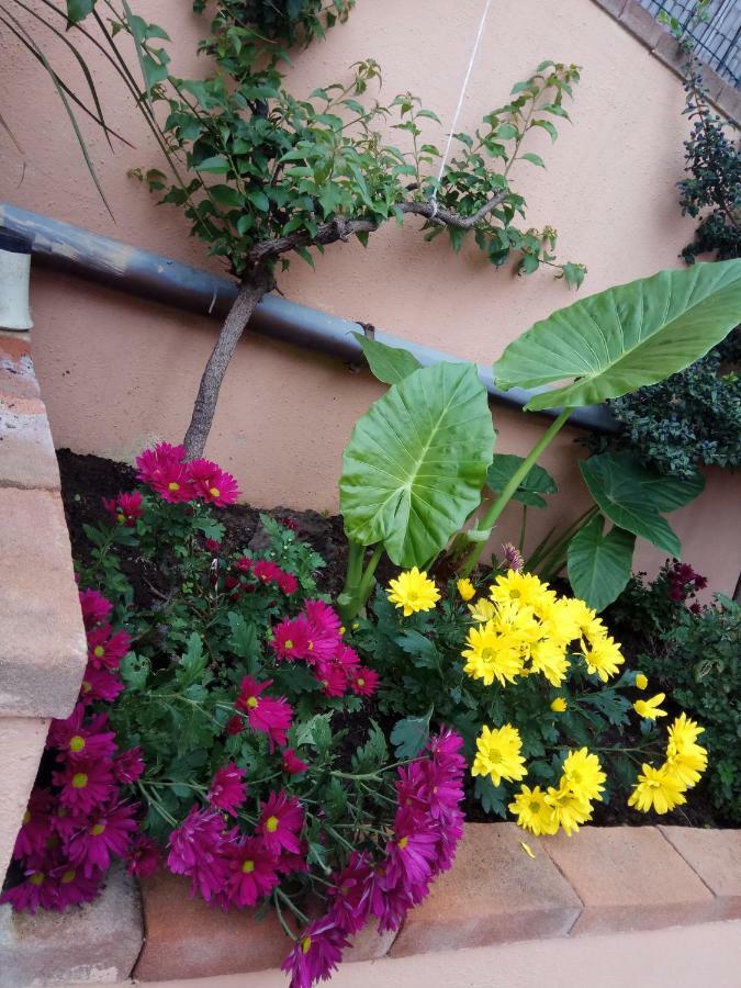 Appartamento In Zona Residenziale Orosei Exterior foto